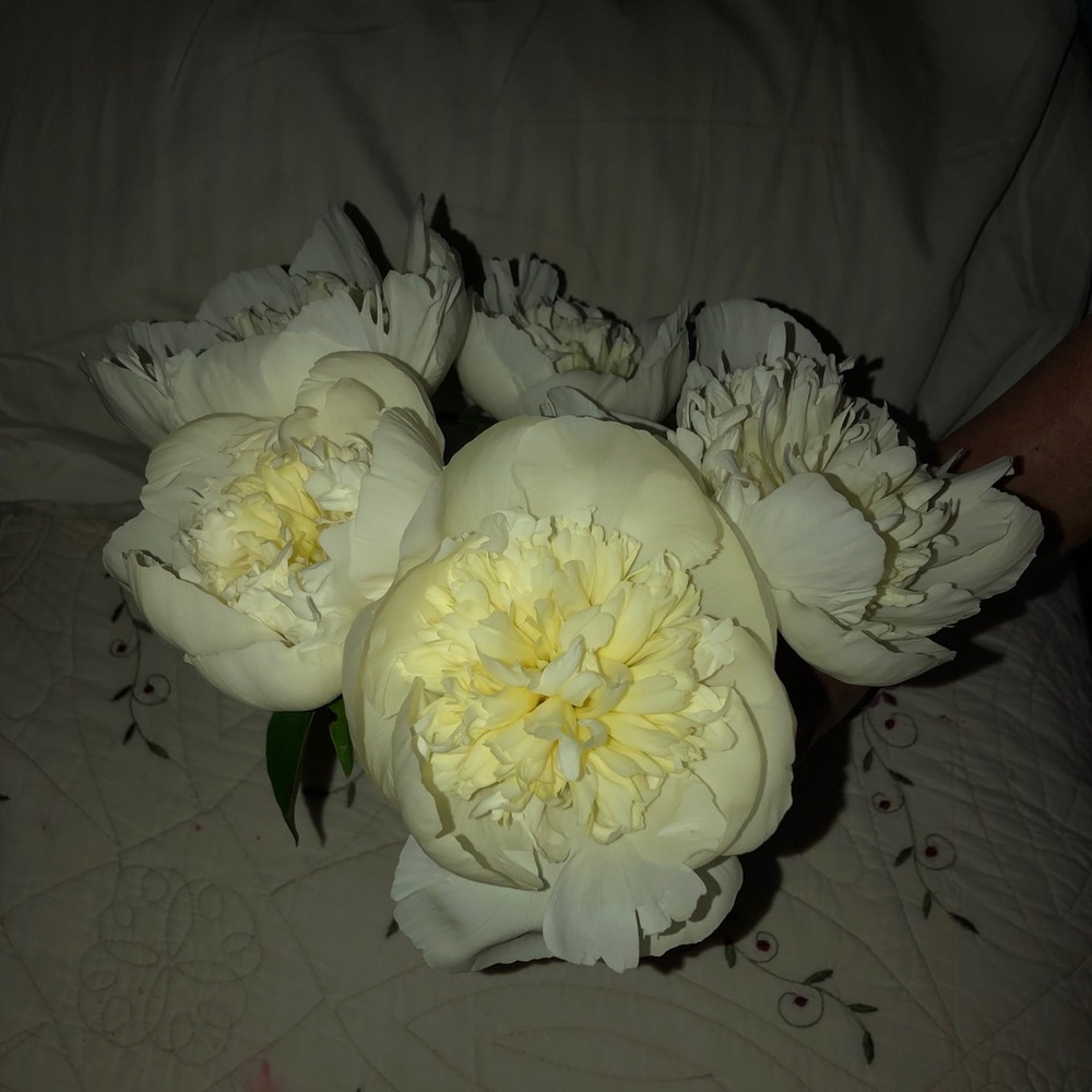 Meet your Posher, Sharon